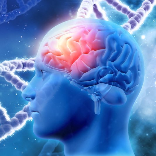 Neurologie7.jpg