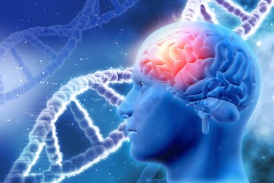 Neurologie.jpg